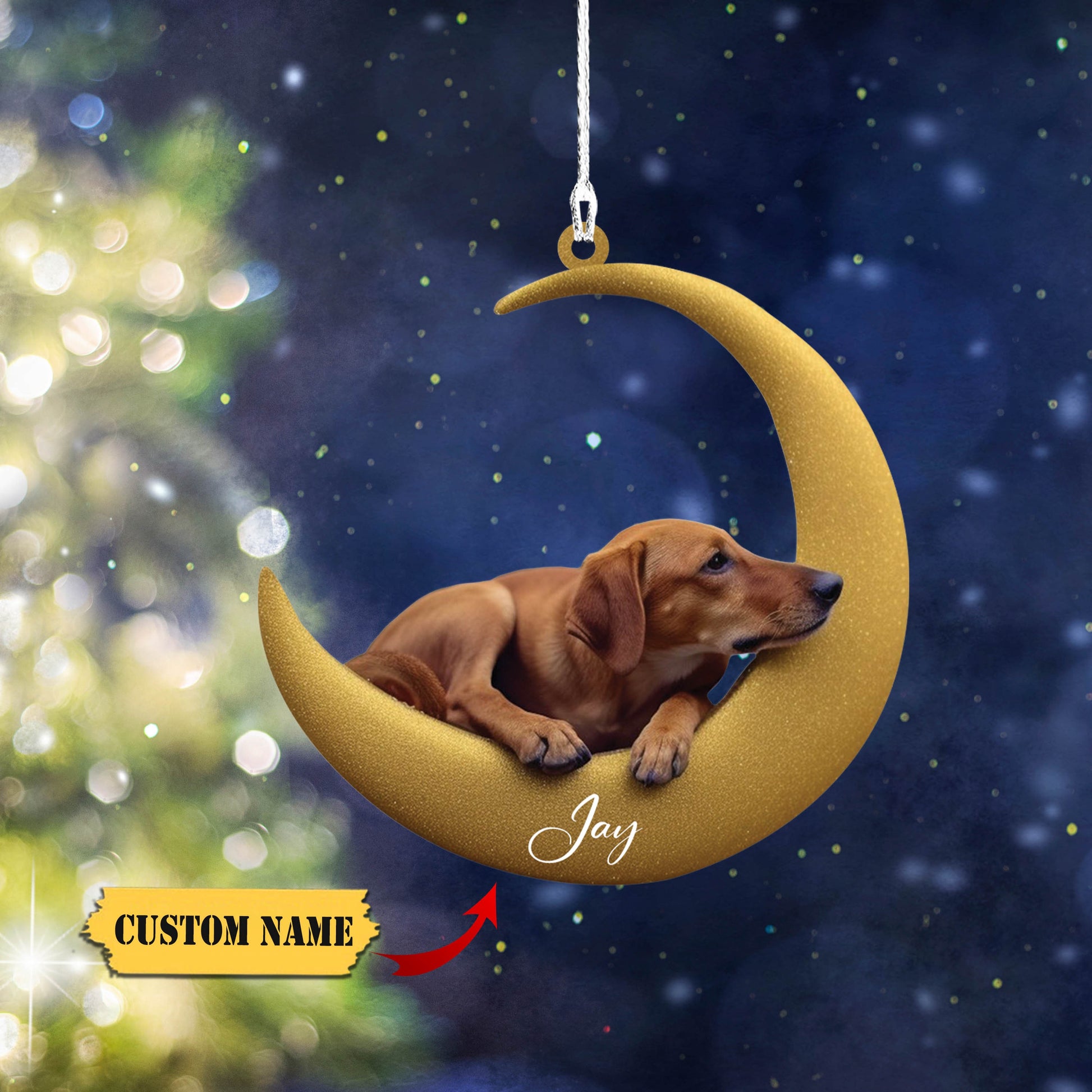 Custom Rhodesian Ridgeback Ornament, Dog on Moon, Personalized Pet Gift